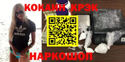 гашик Кингисепп