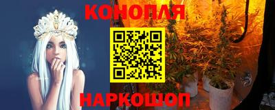 гашик Кингисепп