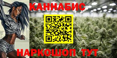 гашик Кингисепп