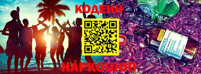 гашик Кингисепп
